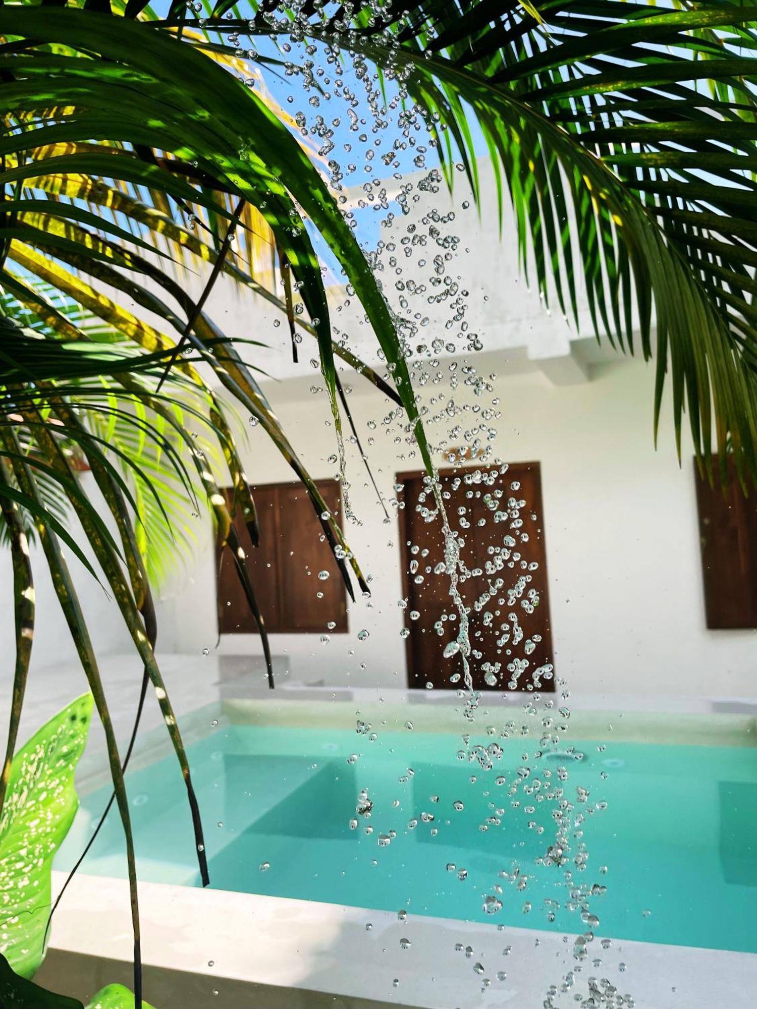 Sri Lanka Surf Villa Domus Graziella 阿杭格默 外观 照片